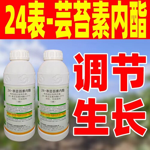24表芸苔素内酯生长调节剂黄瓜