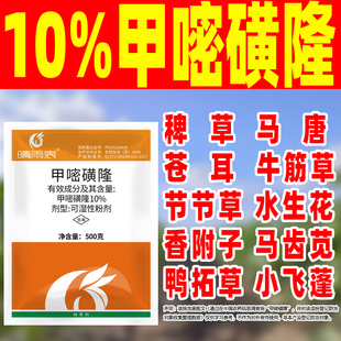 晴雨表10%甲嘧磺隆除草烂根剂开荒烂根除草剂呷密黄隆死根公铁路