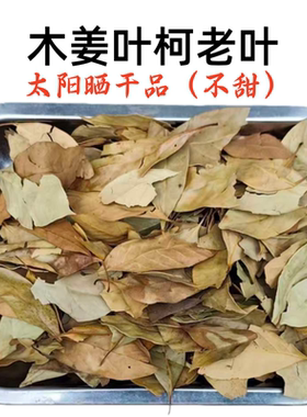 木姜叶柯多穗石柯甜茶叶晒干老叶片子味道不甜重庆高山美康王茶