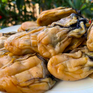 台山徐新柏30头半干金蚝拍1件是250g顺丰包邮