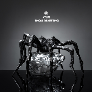 精致织物香氛香水礼盒 №066一直走到黑 纯金属瓶盖 彼觉 XYLIFE