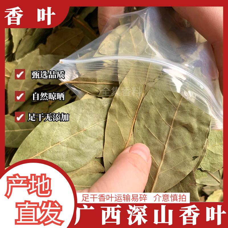精选香叶月桂新货干货卤