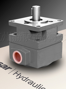 YB1-100/YBD-100 油泵 杭机平面磨床配件 仙居液压件