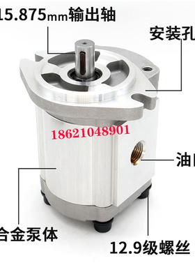 全新2GG1P22R 24R 26R 28R  30R 33R  2GG1P09R 2GG1P11R油泵包邮