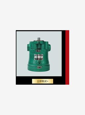 全新160MCY14-1D 10MCY14-1D 25MCY14-1D 63MCY14-1D 轴向柱包邮