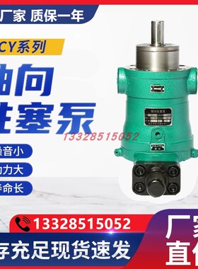 新款启东申力轴向柱塞油泵10MCY14-1B 25YCY 5 40 63 80 32PC包邮