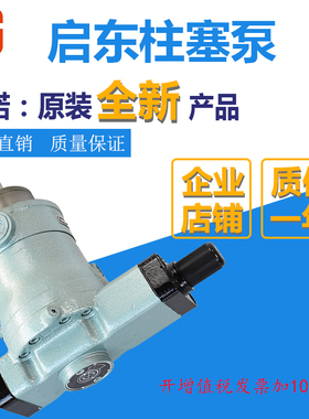 全新10YCY 25YCY 40MCY 63YCY 80YCY 100YCY 160YCY14-1B轴向包邮