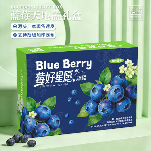 蓝莓包装盒空盒子12盒装佳沃蓝莓怡颗莓通用高档手提礼品盒可定制