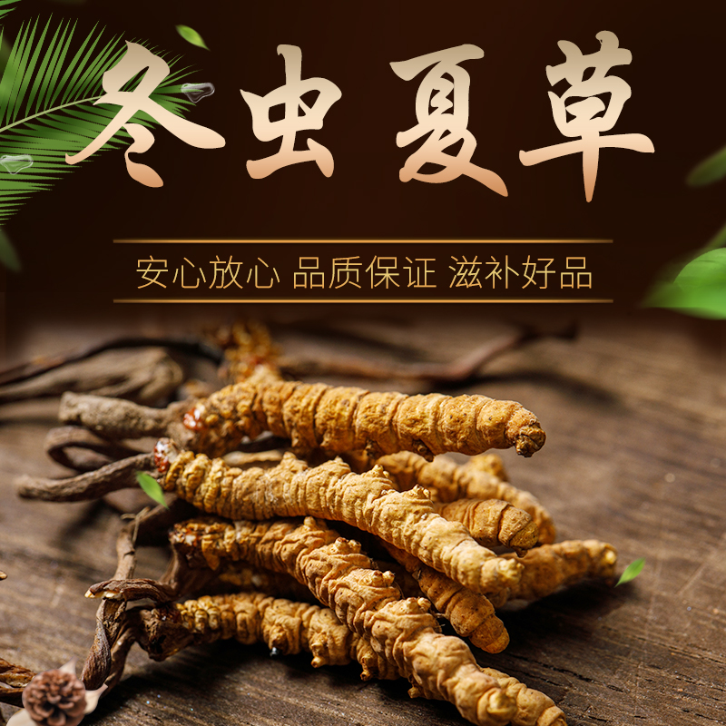 青海果洛高海拔冬虫夏草10g正品正宗鲜虫草海拔3500米以上 包邮