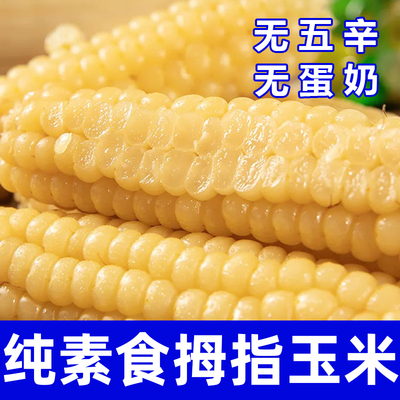 纯素食拇指玉米无五辛无蛋奶健康营养早餐香甜软糯玉米棒在菌屋