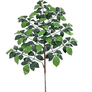 仿真植物榕树叶金钱叶枝杆可焊接防火防晒装 新品 饰摆设厂家