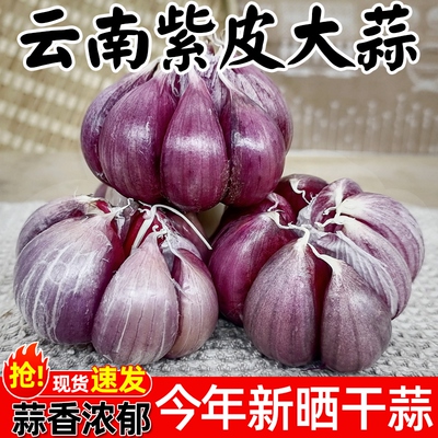2026年正宗云南紫皮大蒜新晒大蒜头干蒜5斤农家老品种红香蒜批发9