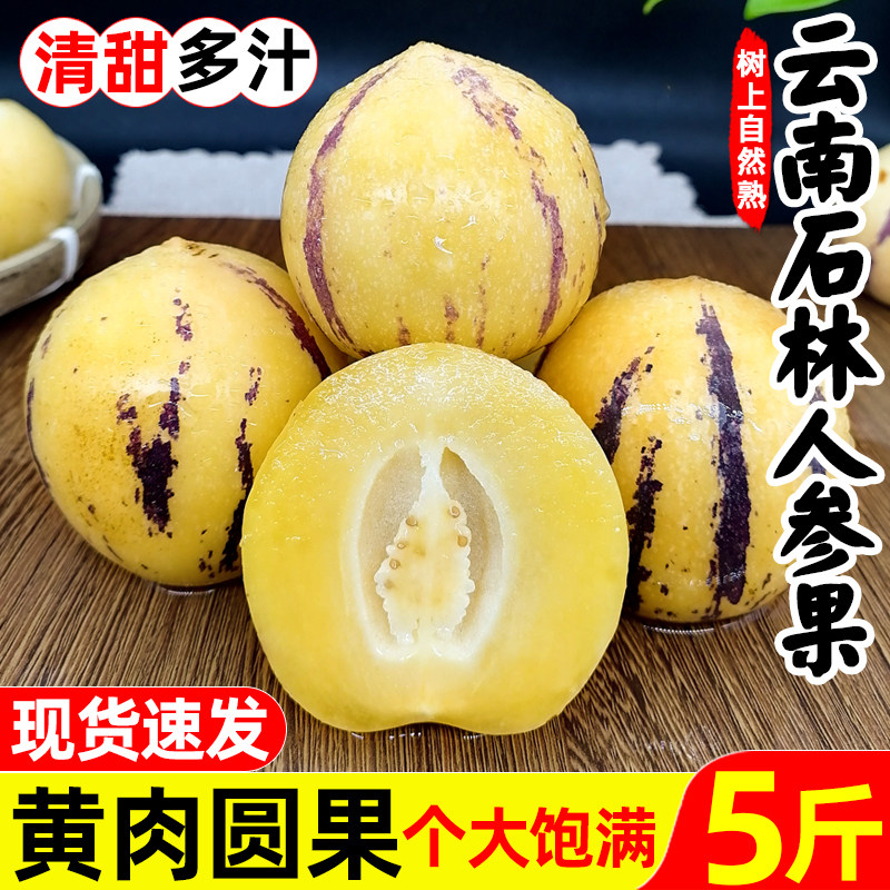 云南石林人参果圆果10斤新鲜应当季水果人叁果人生果黄肉整箱包邮,水产肉类/新鲜蔬果/熟食,人参果,淘宝优惠券,粉丝福利购,淘宝优惠卷