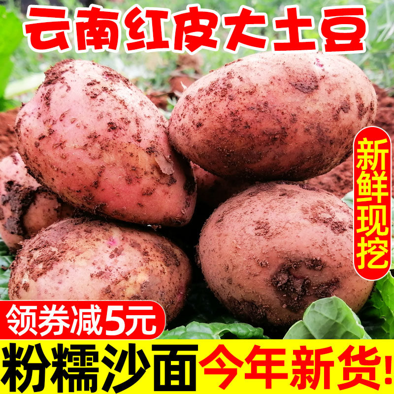 云南新鲜红皮大土豆新鲜