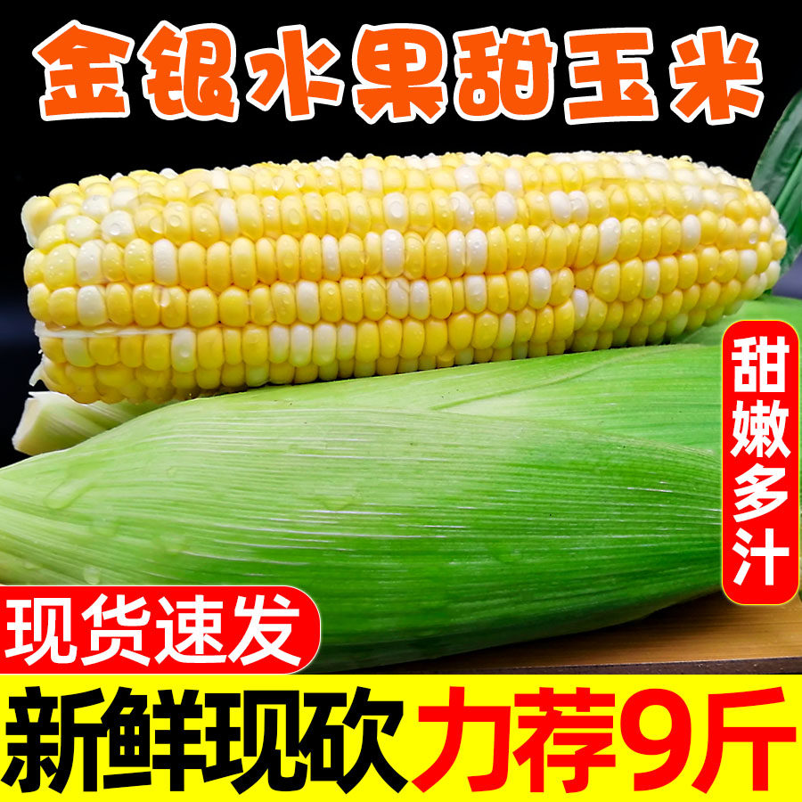 水果玉米新鲜整箱现摘甜脆爆浆
