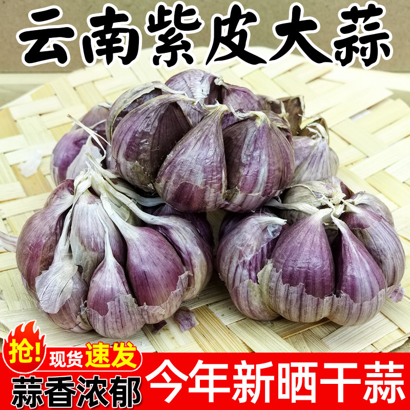 2026年正宗云南紫皮大蒜新晒大蒜头干蒜5斤农家老品种红香蒜批发9