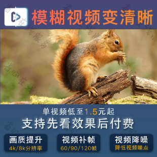 视频清晰度修复老视频画质提升模糊变清晰画质帧率提高补帧降噪点