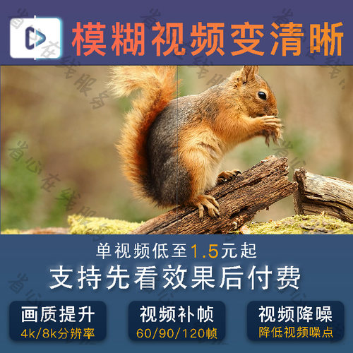 视频清晰度修复老视频画质提升模糊变清晰画质帧率提高补帧降噪点