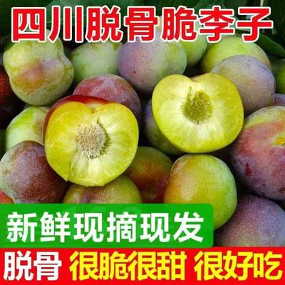正宗四川脱骨李子汶川新鲜孕妇酸甜空心水果红巫山江安当季青脆李