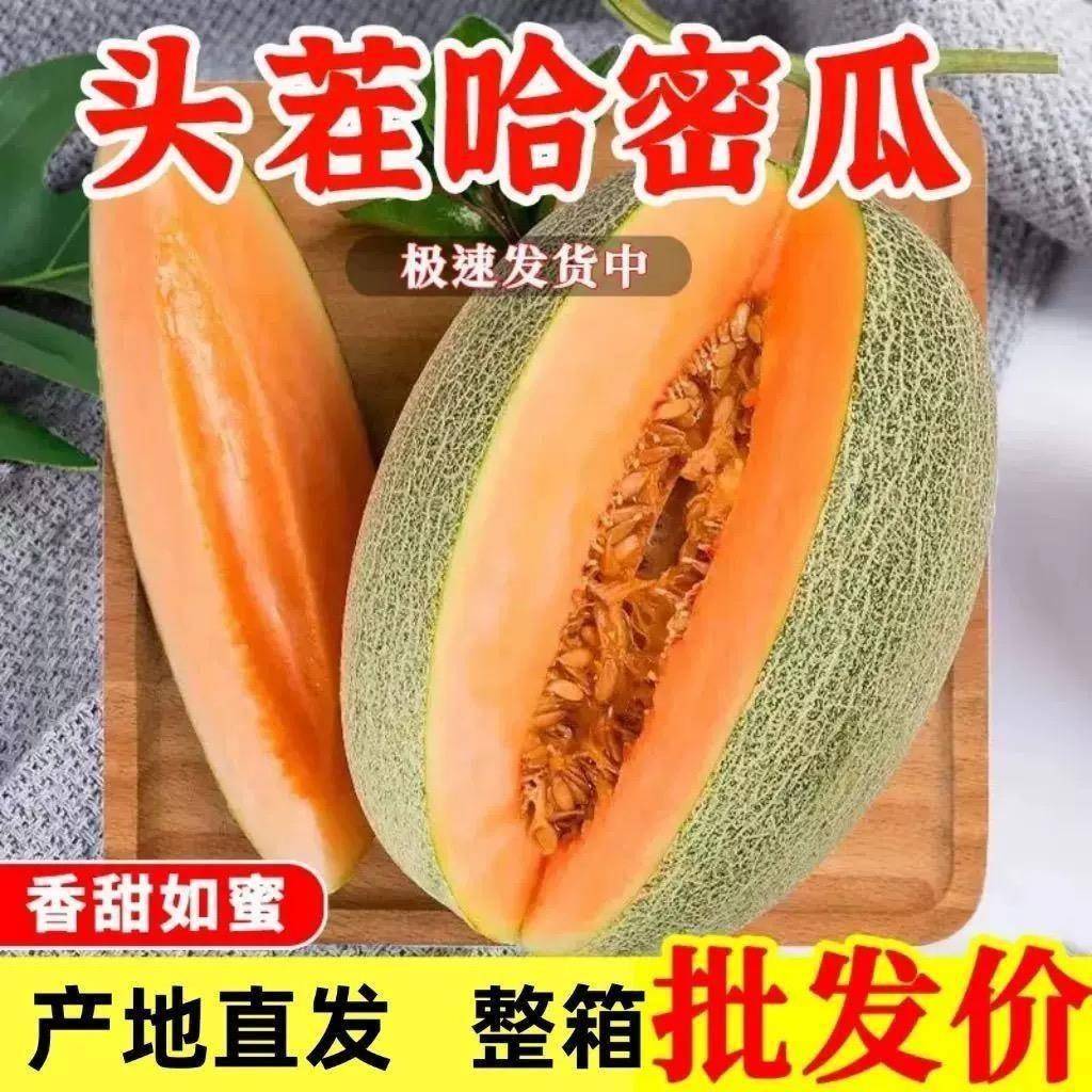正宗海南哈密瓜新鲜一箱当季10斤水果整箱现摘网纹瓜老汉瓜西州蜜