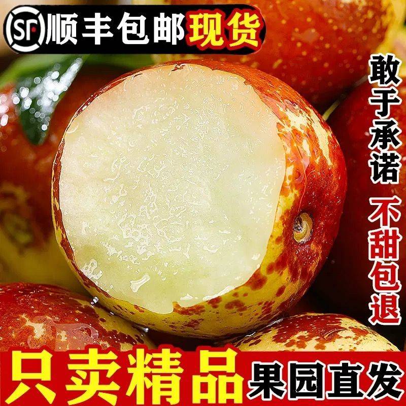 山东沾化冬枣新鲜冰糖脆甜特大5斤包邮孕妇水果现货当季枣子顺丰
