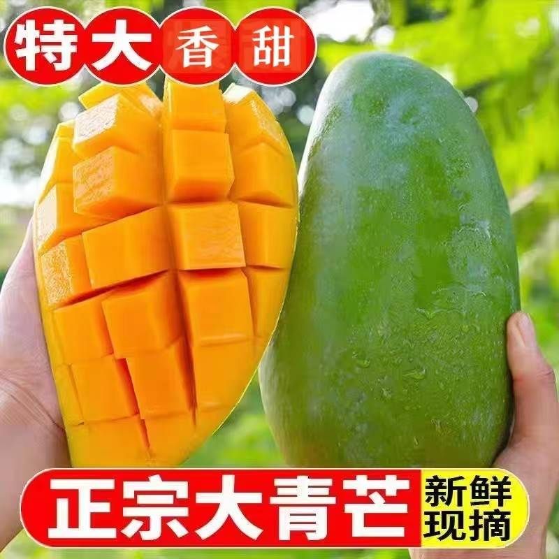 越南特大青芒果9斤新鲜水果青皮芒果当季热带纯甜金煌芒整箱包邮