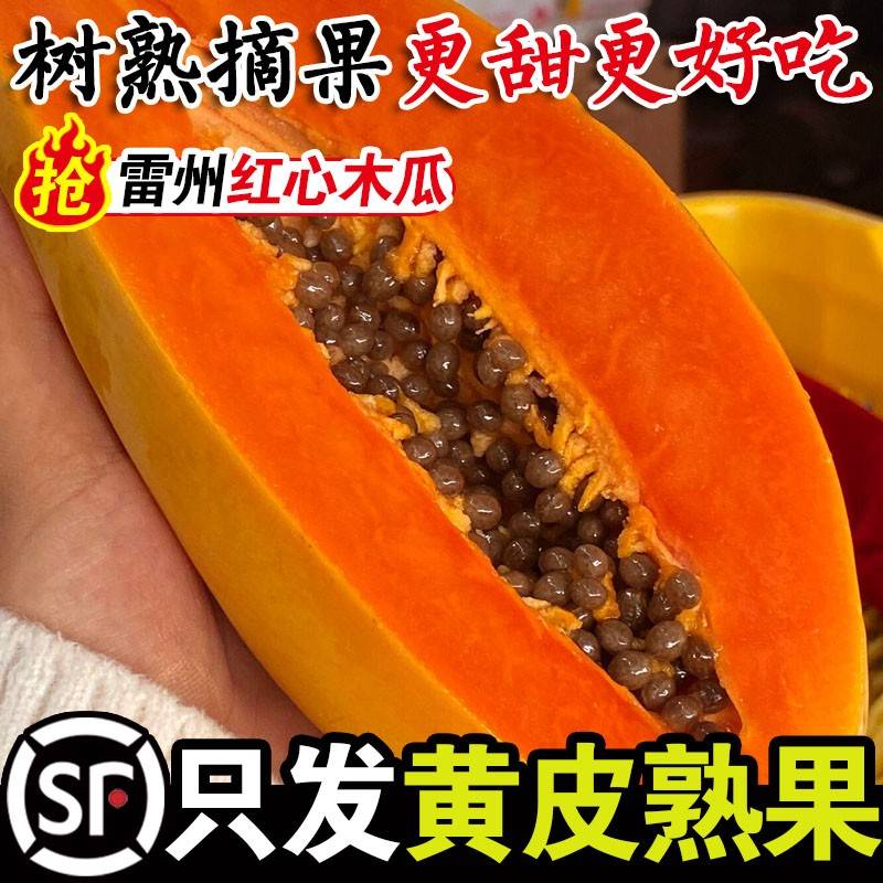 即食雷州冰糖红心木瓜新鲜5斤牛奶下奶水果当季整箱云海南树上熟
