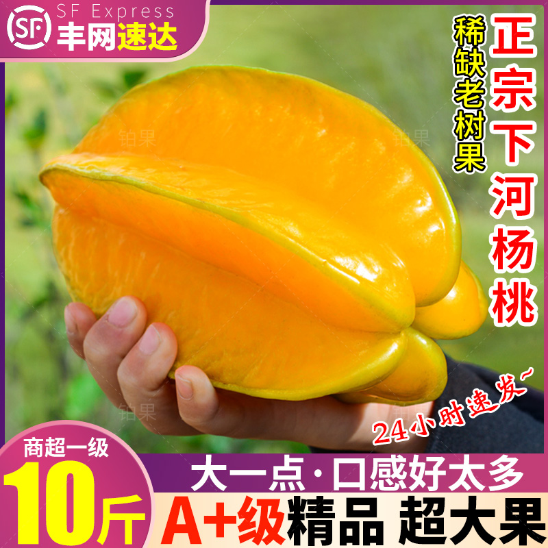 顺丰老树超大果10斤福建漳州下河杨桃新鲜水果新鲜热带整箱5
