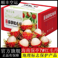 順豐空運海南保亭紅毛丹新鮮現(xiàn)摘