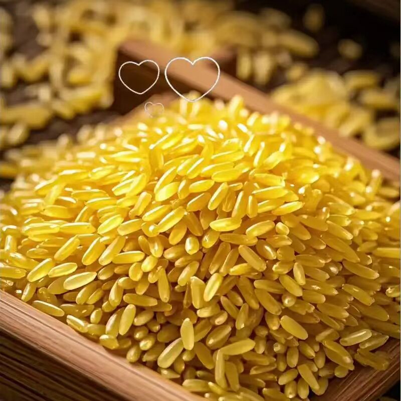 黄金大米纯正新玉米2025年东北玉米合成5斤杂粮黄金大米非大米