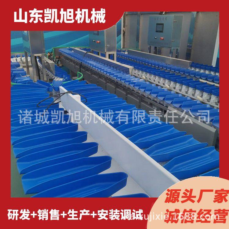 海参鲍鱼高精度称重分拣机大闸蟹大小筛选机高速分拣机设备厂家,清洗/食品/商业设备,选果机/分选机,淘宝优惠券,粉丝福利购,淘宝优惠卷