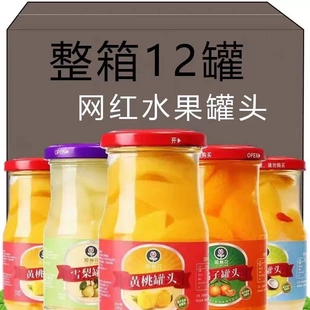 黃桃罐頭12瓶一整箱批發新鮮水果罐頭橘子雪梨罐頭即食冷藏更好吃