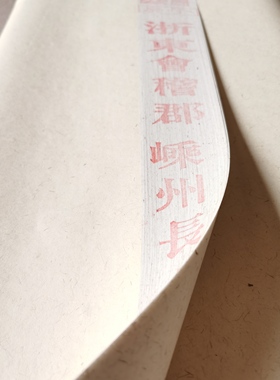 Shan/剡藤纸 21年 常使纸 麻生白褐色 高级四尺 空白 手工书法纸