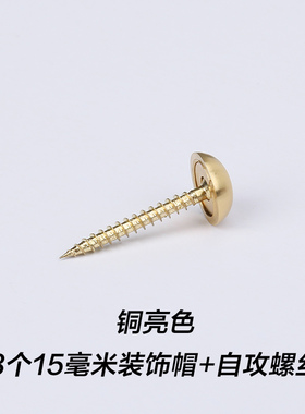 螺丝帽装饰盖纯铜广告钉镜钉盖玻璃镜子固定钉自攻螺丝遮羞盖铜帽