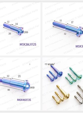 瑞莫 通用煞车手把牛角拉杆固定M6台阶8转6钛合金螺丝配螺母一组