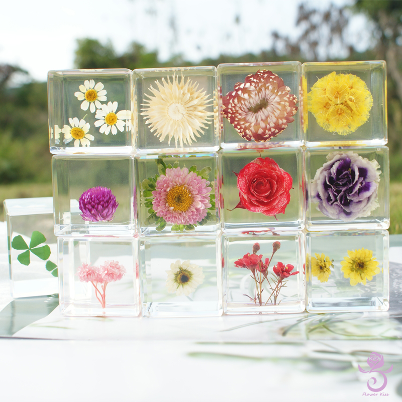 玫瑰四叶草标本康乃馨菊花植物树脂盲盒摆件立方体永生花镇纸礼物