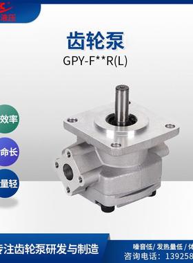 GPY-F12R液压高压齿轮泵低噪声外啮小型齿轮泵增压齿轮泵