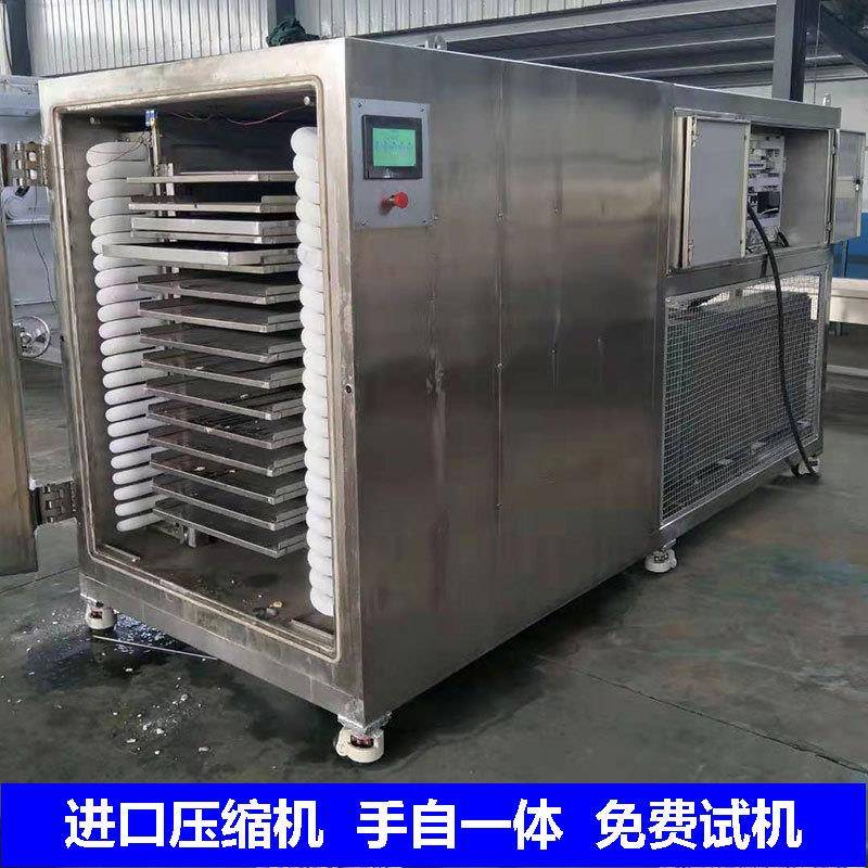 杨梅真空冷冻冻干机果蔬脆片升华干燥设备水果食品冻干机众发