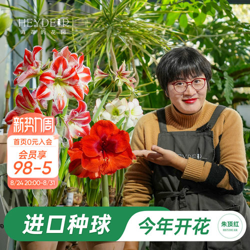 【小红书博主推荐新手种球】