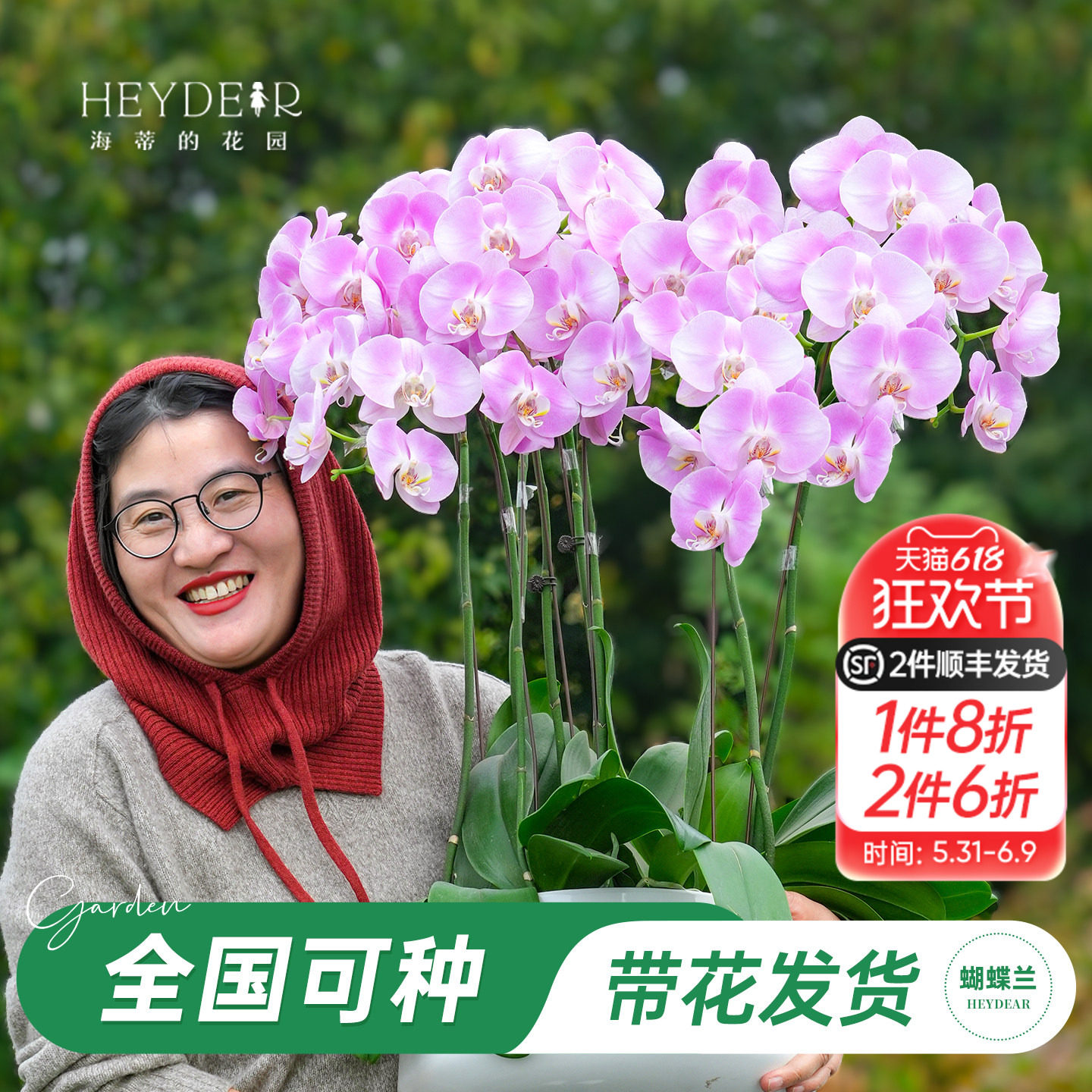 海蒂的花园旗舰店蝴蝶兰带花盆栽带花苞大辣椒年宵花植物室内桌面