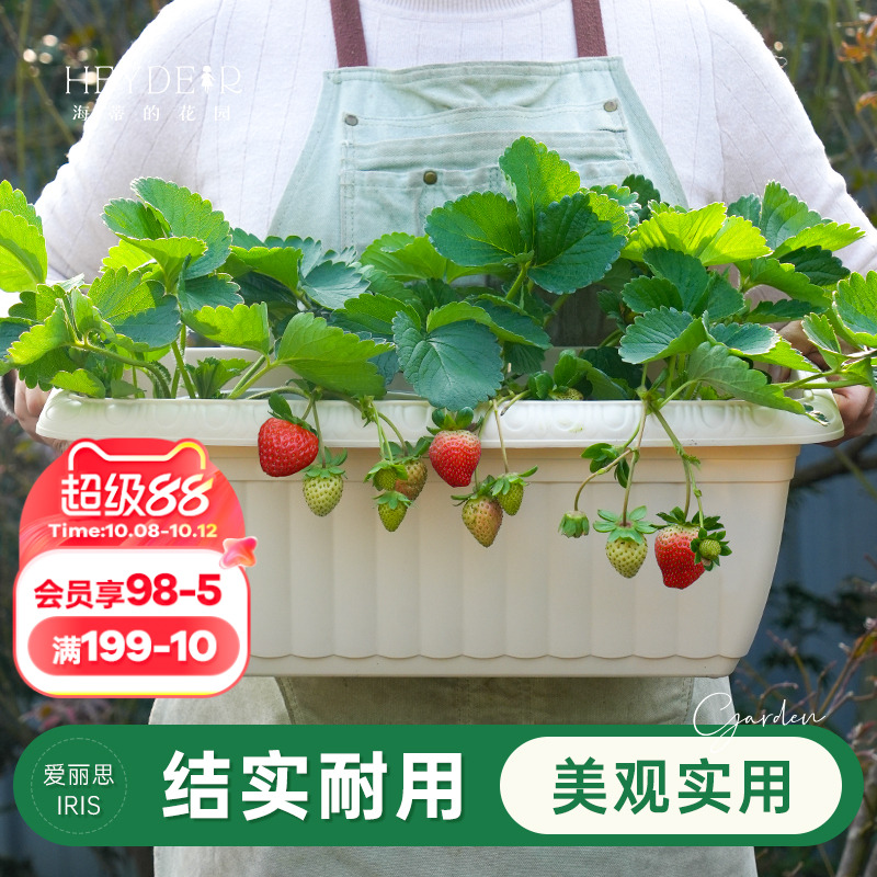 海蒂的花园旗舰店爱丽思长条花纹花盆家用庭院阳台种花种菜专用箱