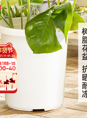 海蒂的花园旗舰店爱丽思TILT素雅简约树脂花盆月季绣球种植深型盆