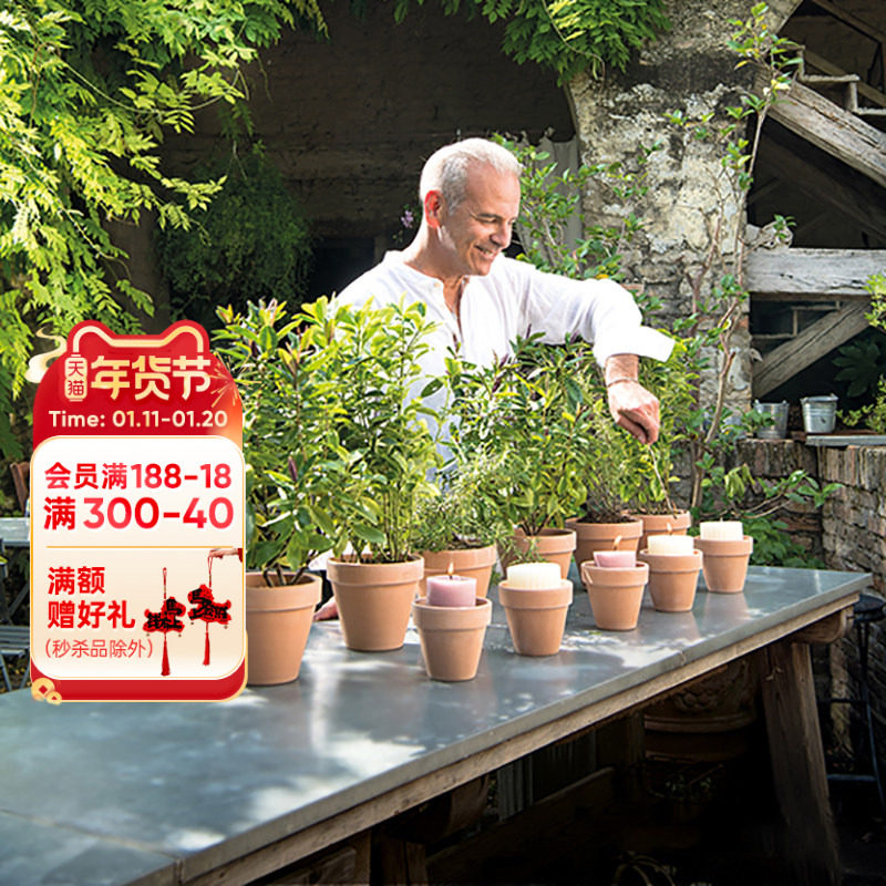 海蒂的花园进口帝罗马条纹花盆陶盆绿植花卉种植盆透水透气陶土盆,鲜花速递/花卉仿真/绿植园艺,花盆,淘宝优惠券,粉丝福利购,淘宝优惠卷
