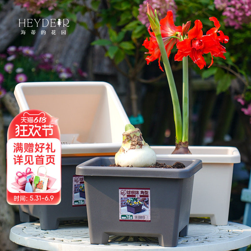 海蒂的花园爱丽思花盆种球球根树脂塑料花盆家用栽种方形花盆
