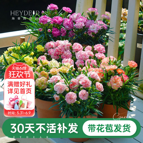 母亲节送给妈妈的礼物