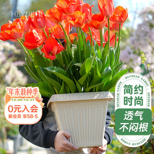 海蒂 花园爱丽思浮雕方型花盆植物花卉绿植阳台种菜盆蔬菜种植盆