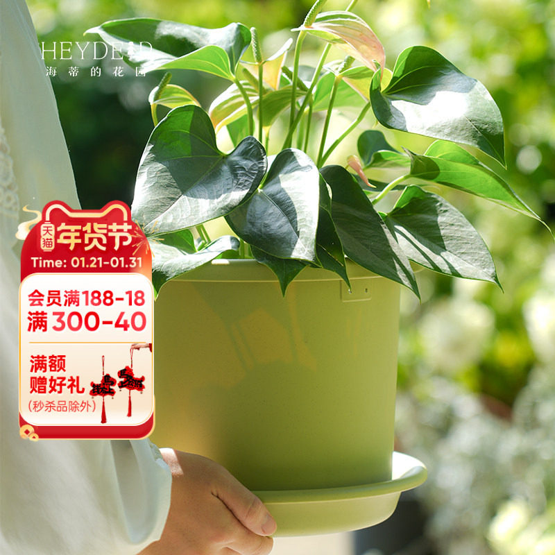 海蒂的花园爱丽思树脂花盆托盘月季绣球绿萝玫瑰花盆栽塑料盆托,鲜花速递/花卉仿真/绿植园艺,花托/移动托盘,淘宝优惠券,粉丝福利购,淘宝优惠卷