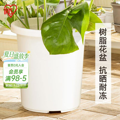 海蒂的花园旗舰店爱丽思TILT素雅简约树脂花盆月季绣球种植深型盆