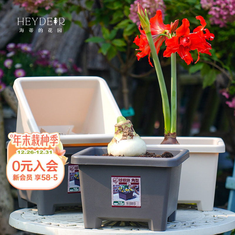 海蒂的花园爱丽思花盆种球球根树脂塑料花盆家用栽种方形花盆