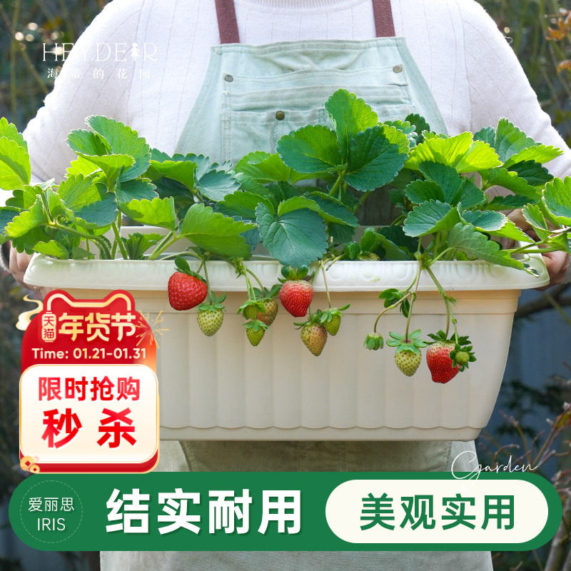 海蒂的花园旗舰店爱丽思长条花纹花盆家用庭院阳台种花种菜专用箱,鲜花速递/花卉仿真/绿植园艺,花盆,淘宝优惠券,粉丝福利购,淘宝优惠卷